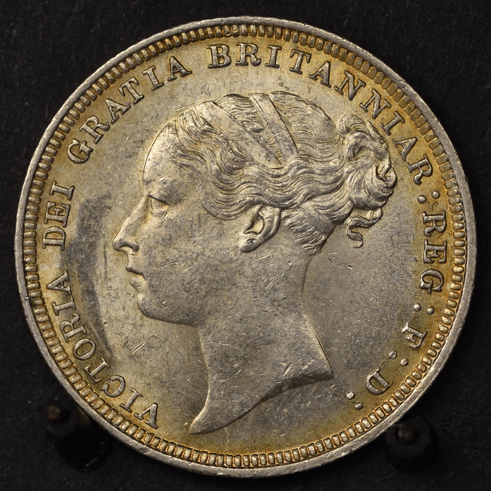 6d1881resize.jpg