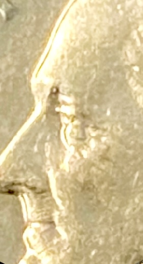 6DF47B04-6926-4072-8DB8-93BC7BF407C1.jpeg