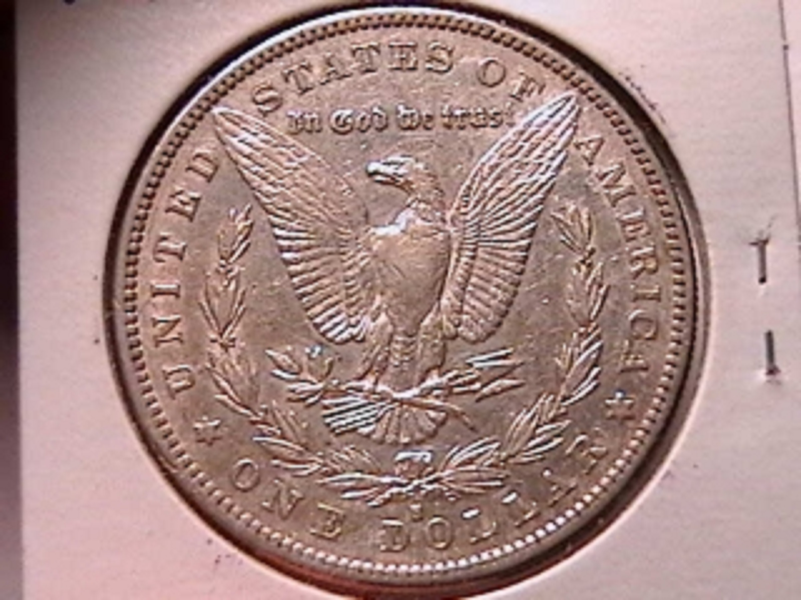 6f.jpg