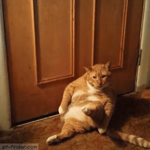 6ogvqt8o2oh3[1].gif