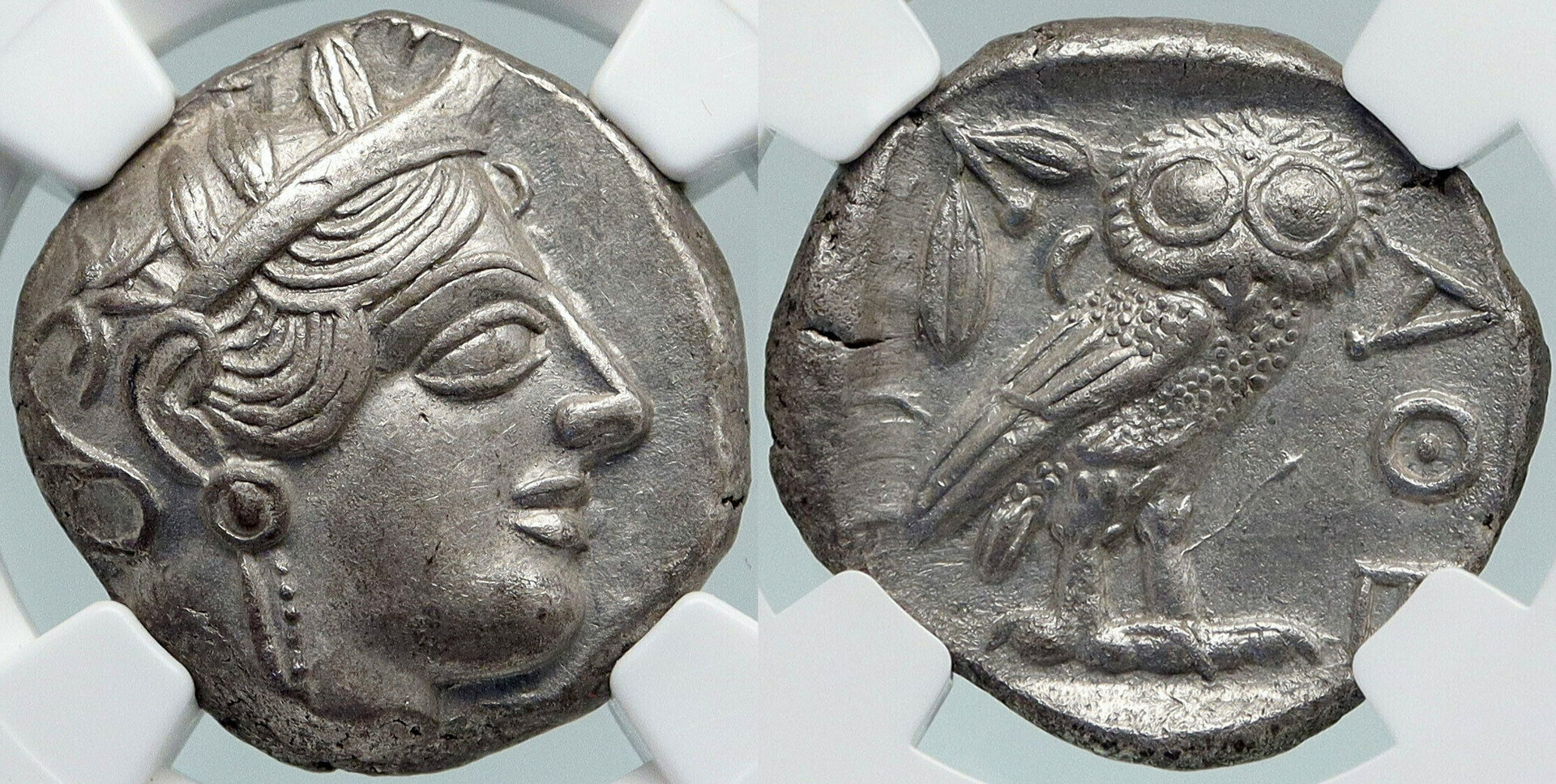 $7,198.65 Owl.jpg