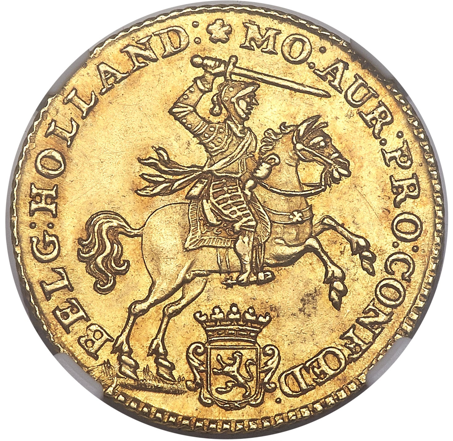 7 Gulden Obv.jpg