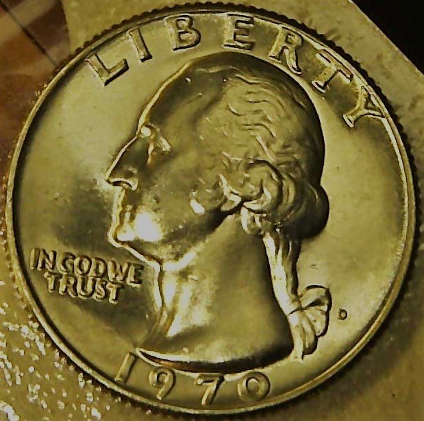 7025802.jpg