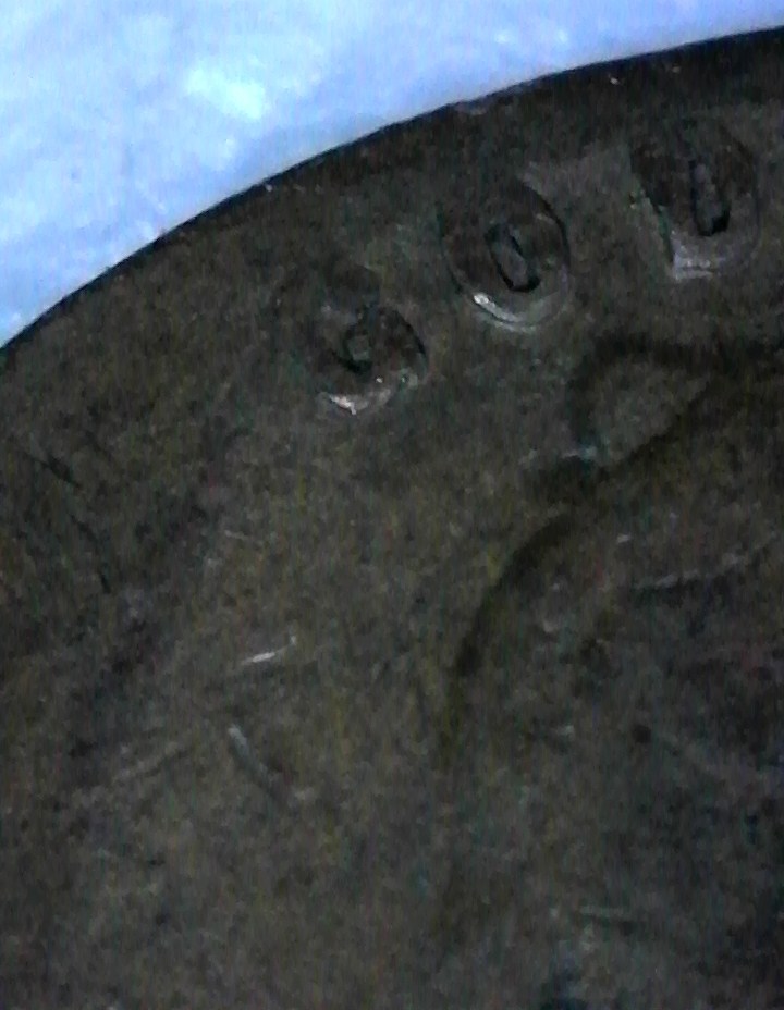 719.jpg