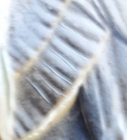 71B6BB69-8060-4F38-8E98-E7D7F66CC4CC.jpeg