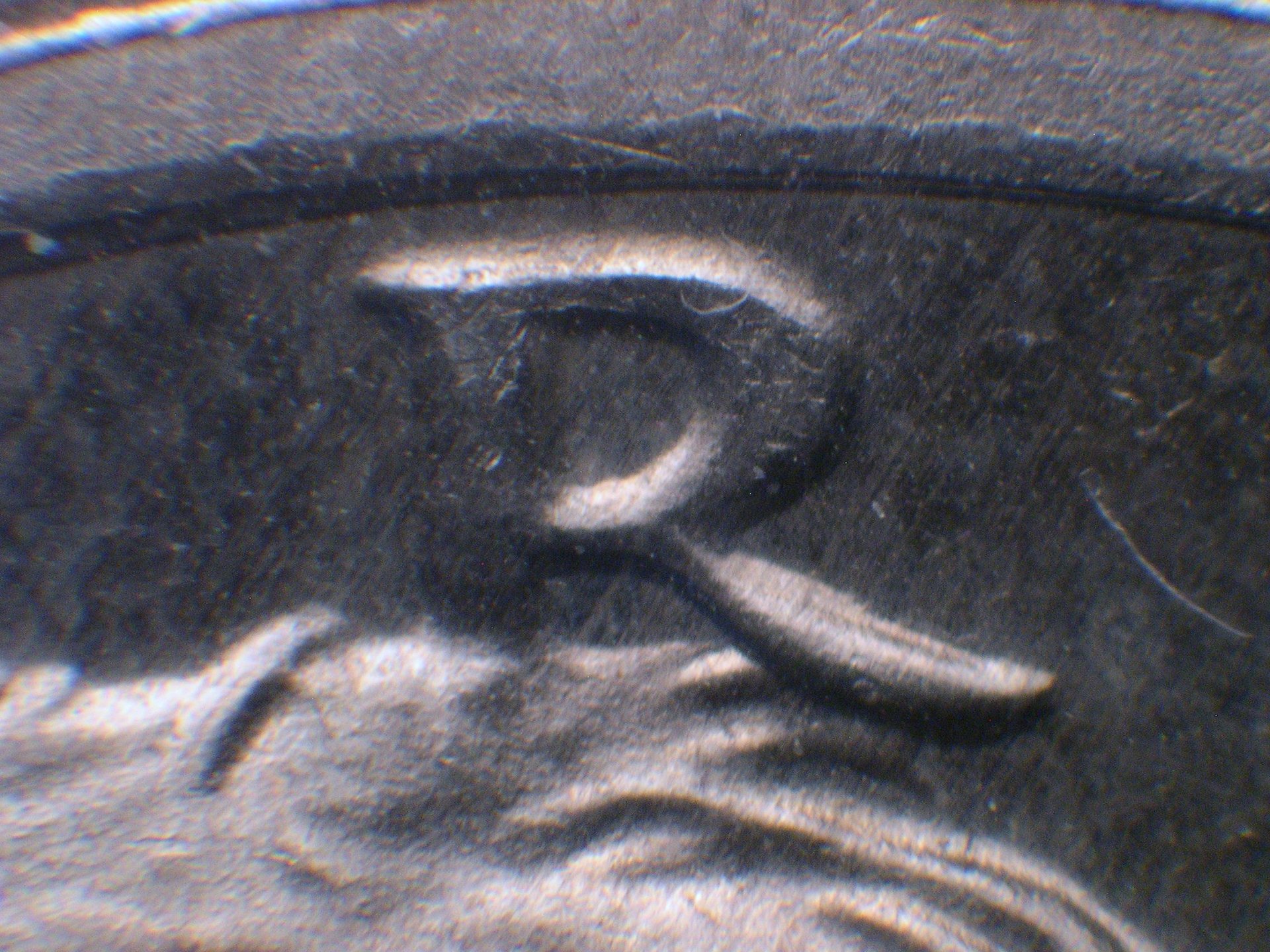 71D ODV-003.JPG
