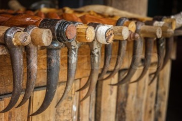 7454039-elephant-hook-e1418643094305.jpg