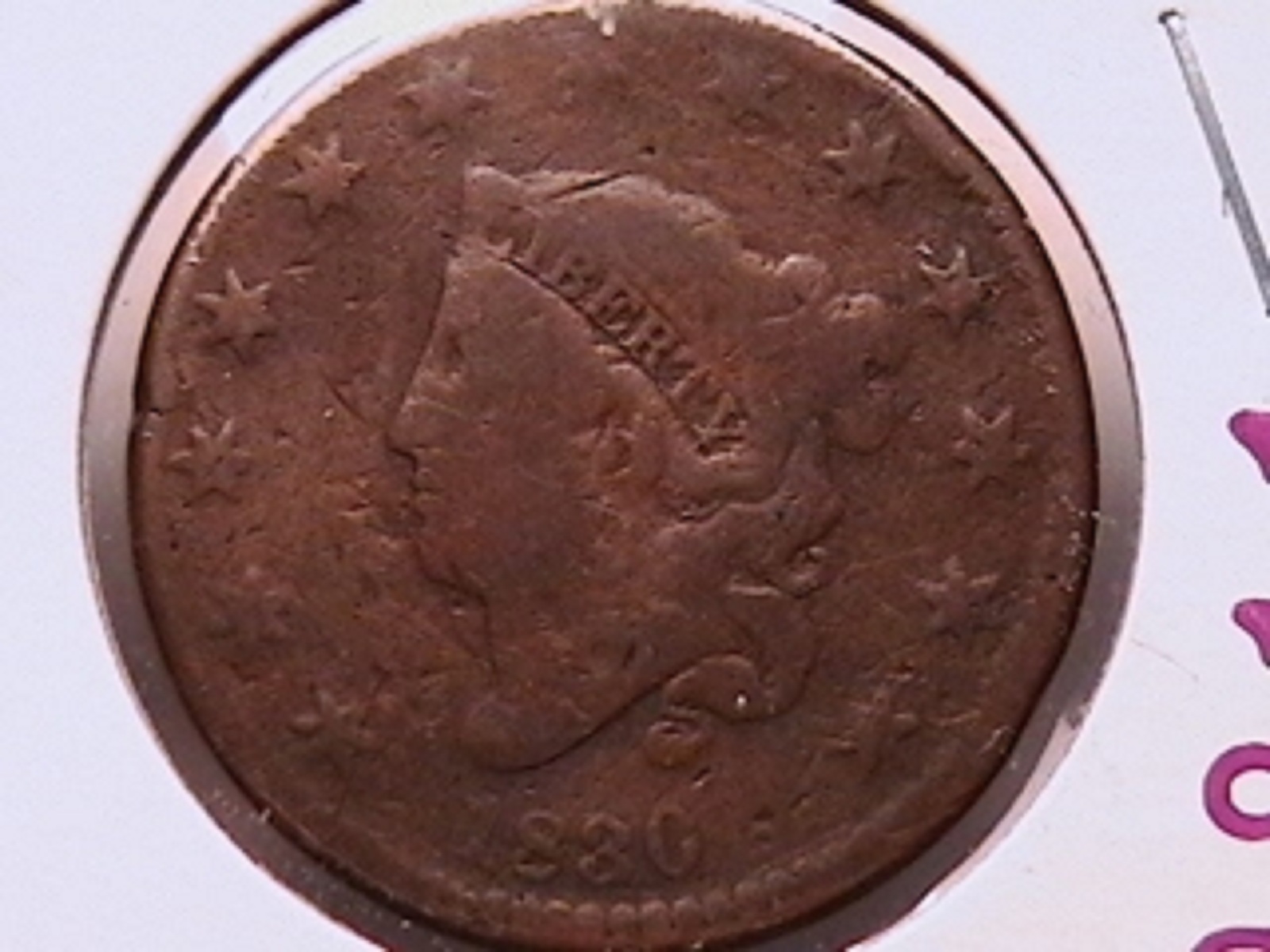 75b.jpg