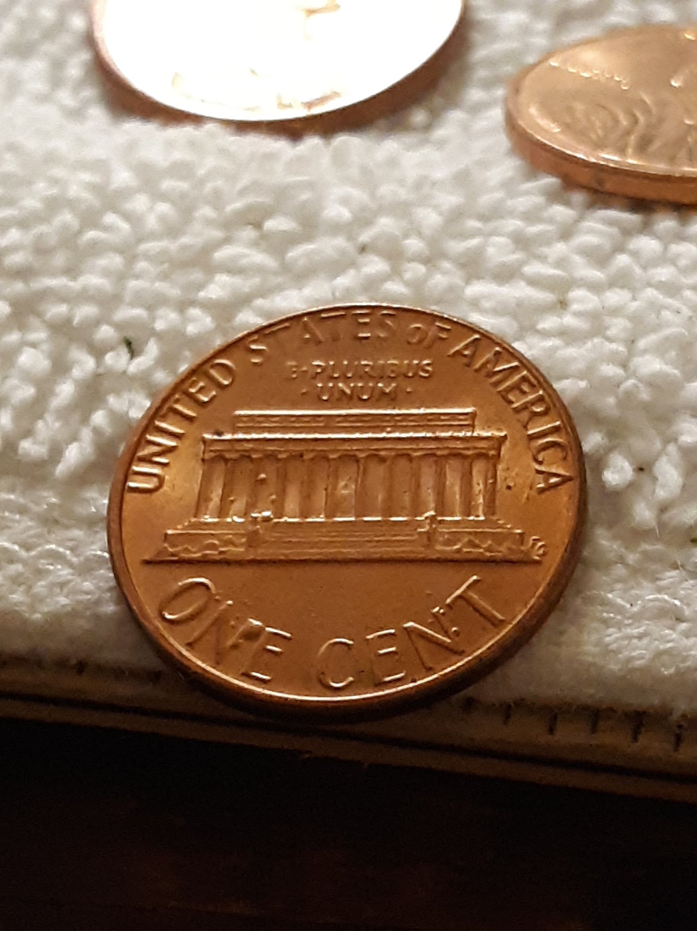 76897879_1242713002783444_2529364102413811712_n.jpg