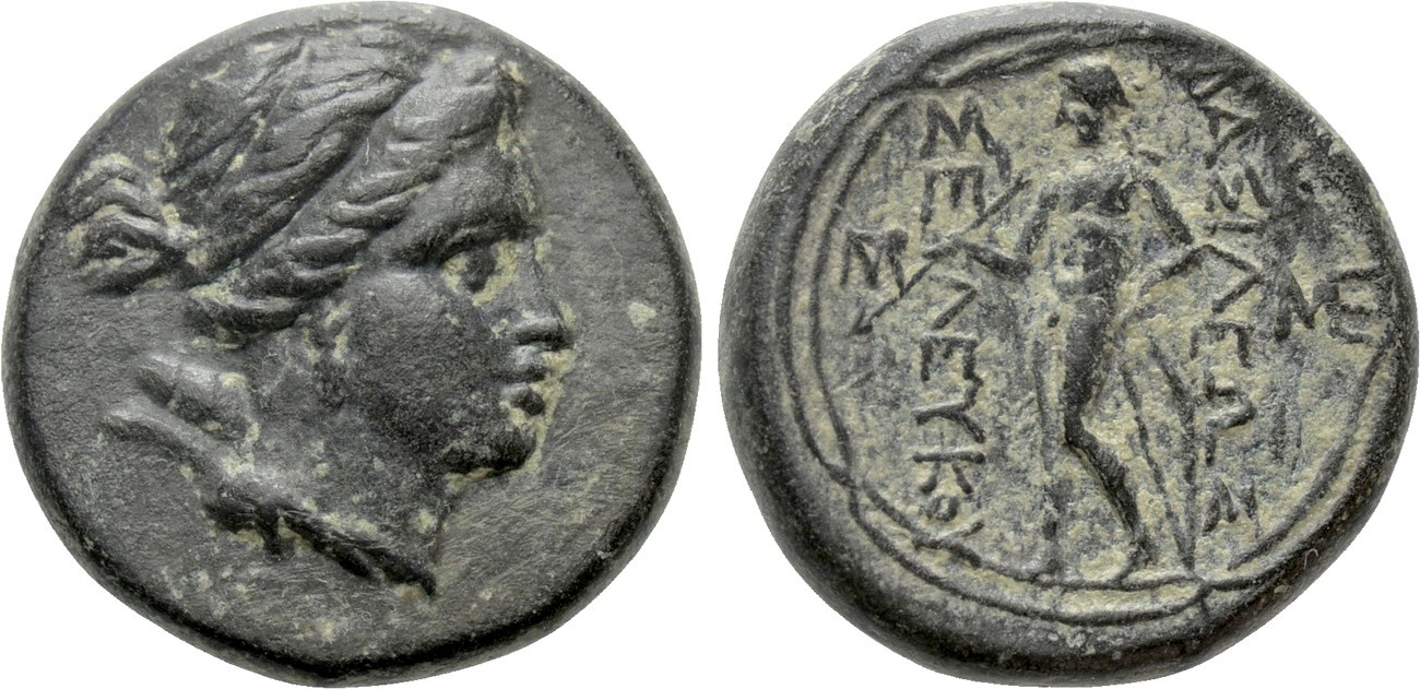 7705427.jpg