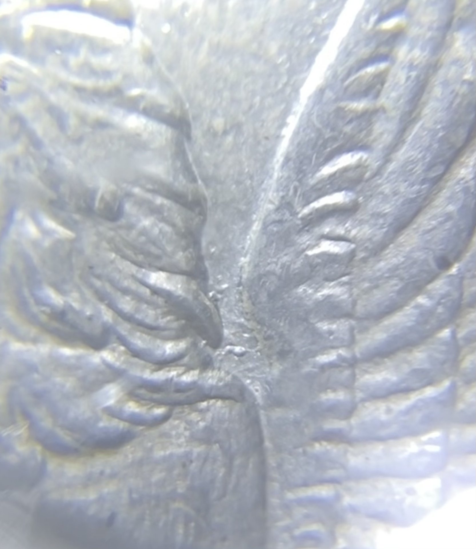77741600-1229-4F3C-859B-83405EC8112F.jpeg