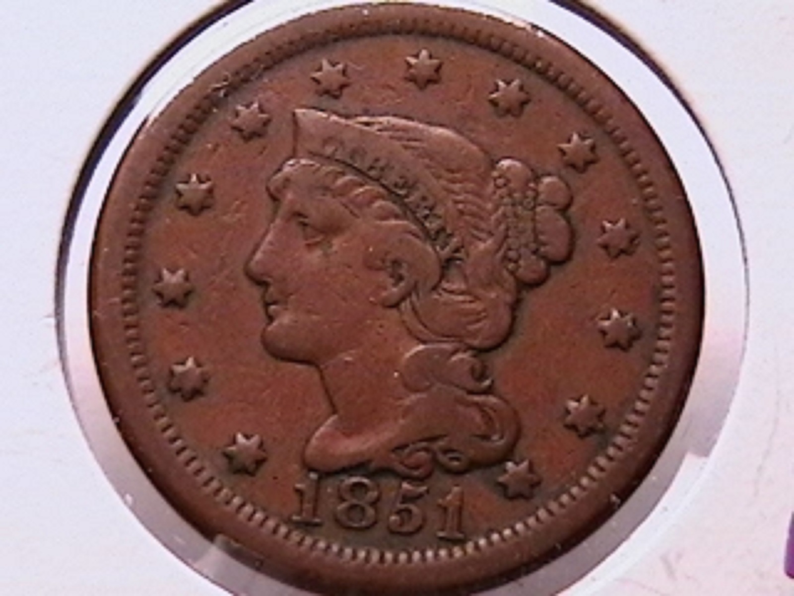 77b.jpg