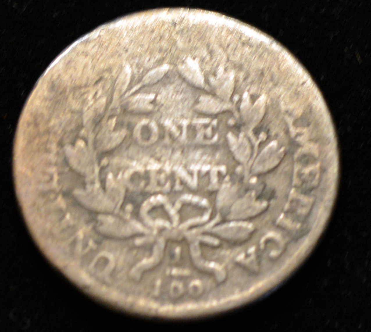77d.jpg