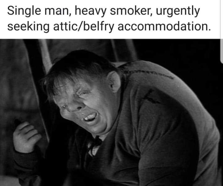 780B2E5C-F90F-452E-839D-DE78E8E84CEE.jpeg