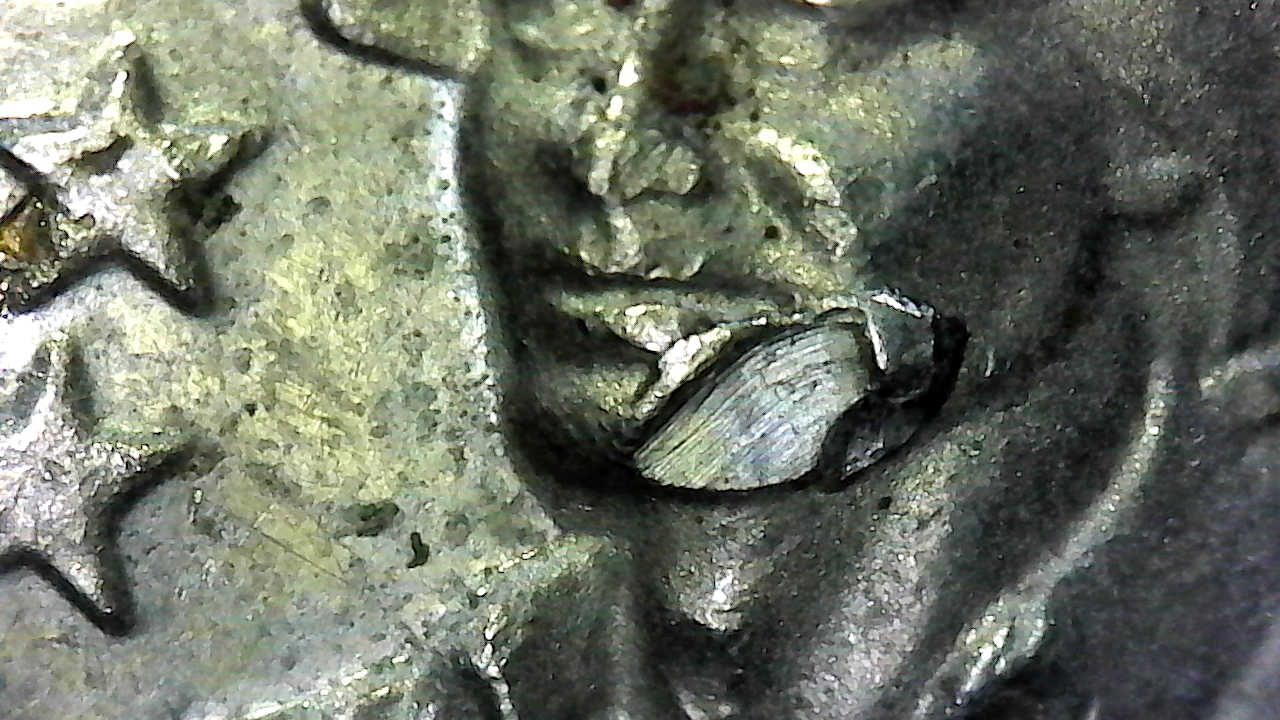79b.jpg