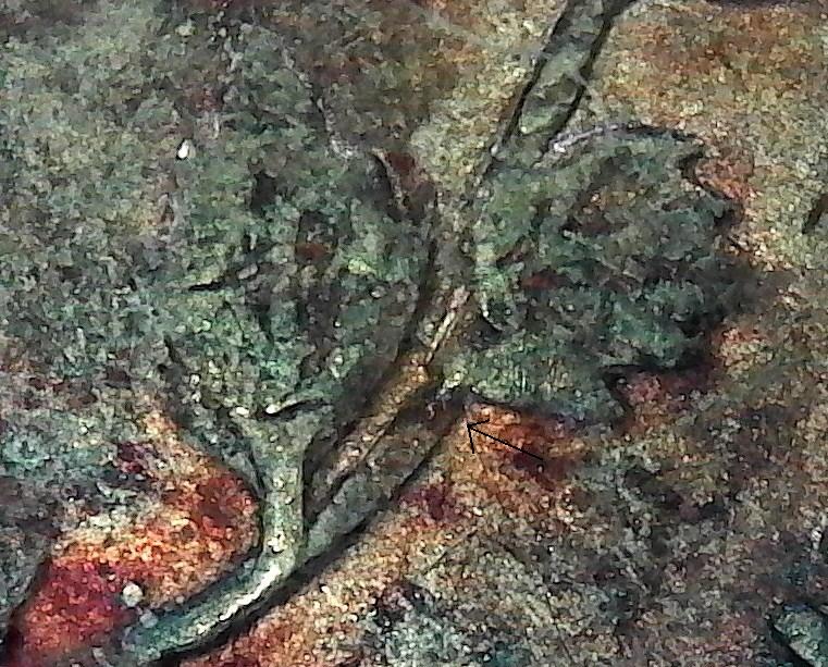 79d.jpg