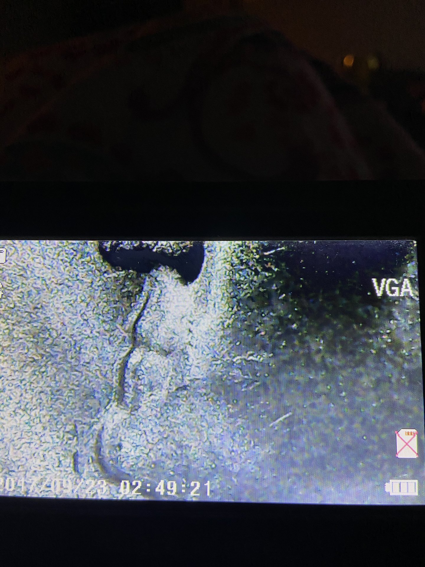 79D9A45A-3082-4CCF-9D7B-ED2695811AD1.jpeg
