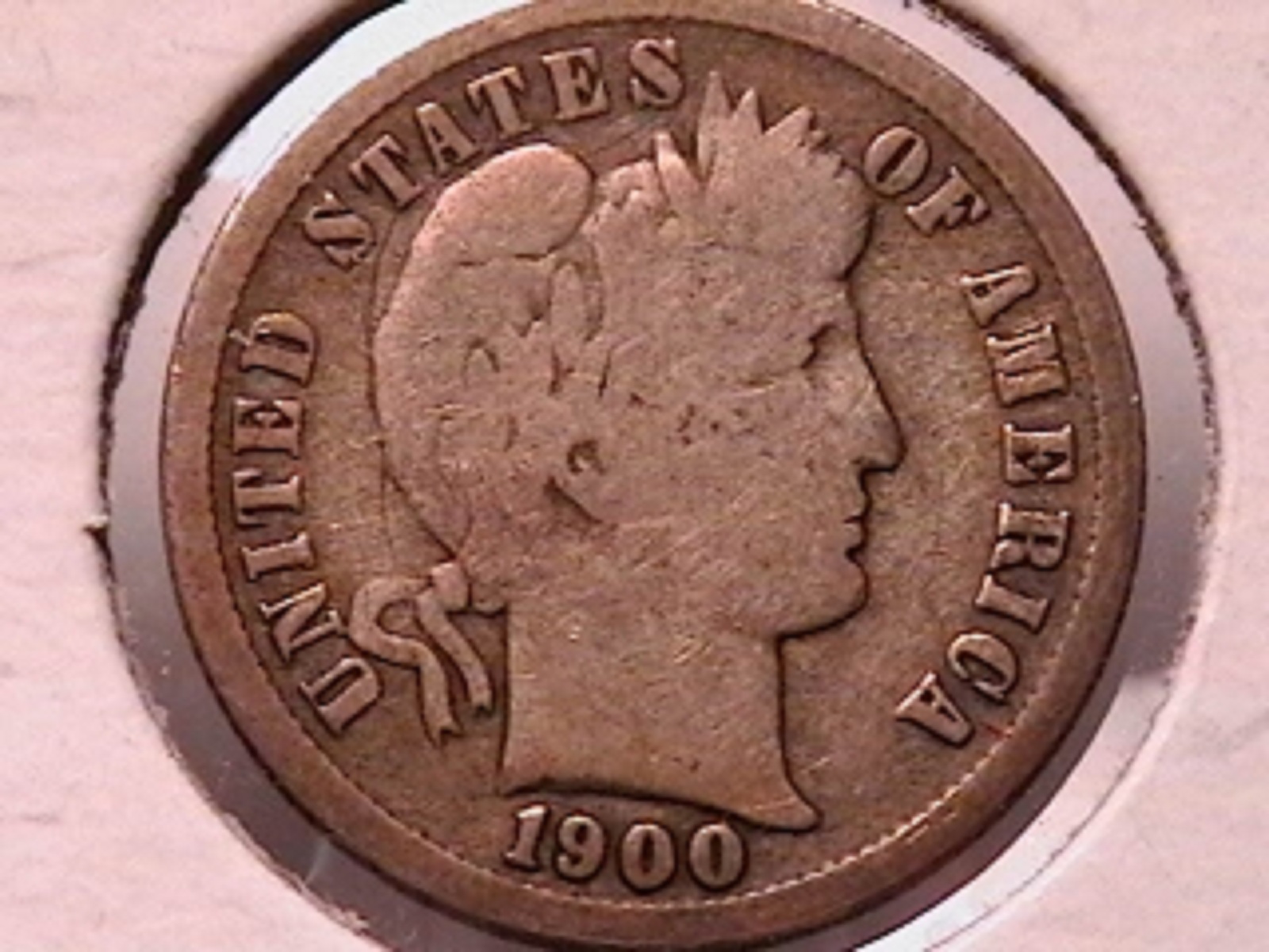 7b.jpg