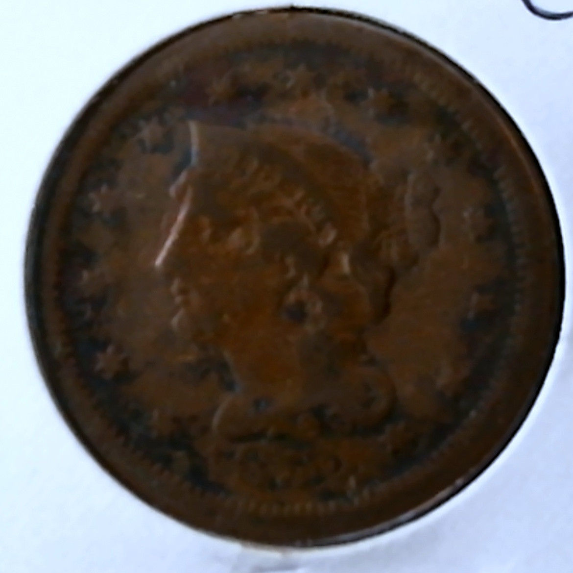 7c.jpg