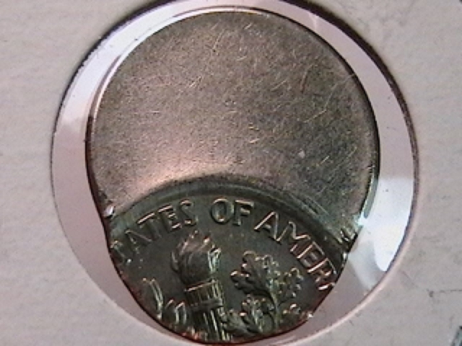 7c.jpg