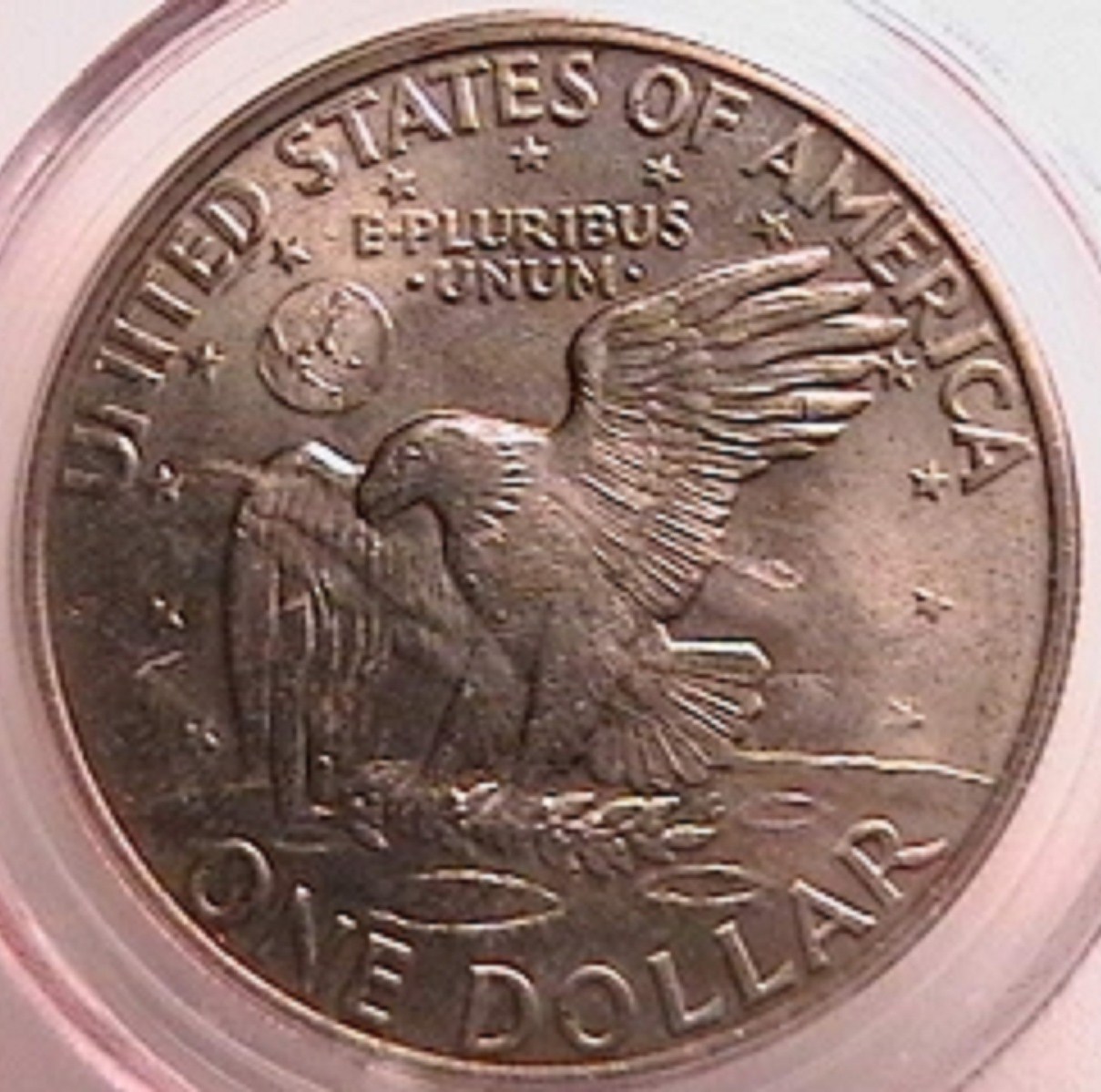 7f.jpg