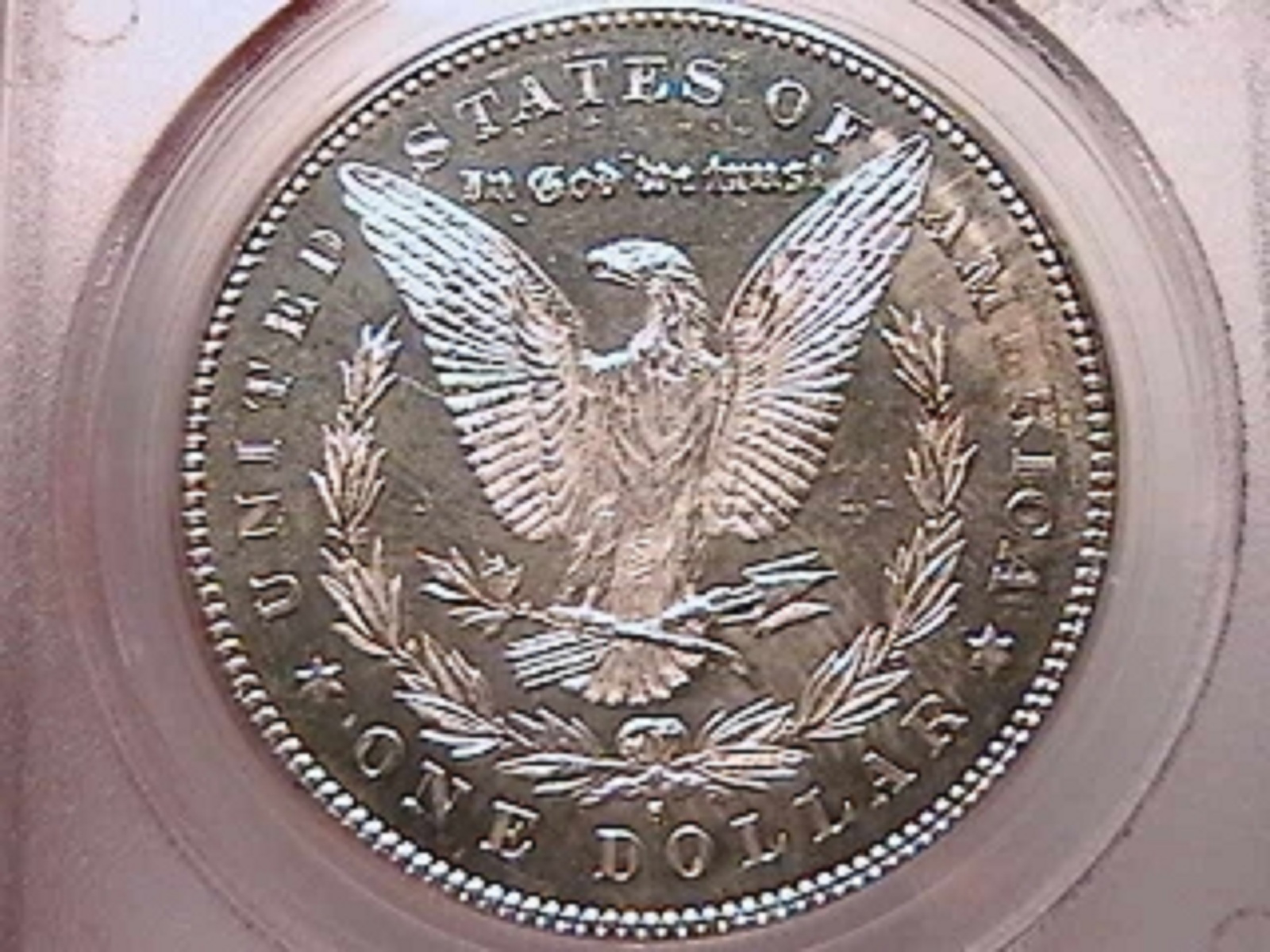 7l.jpg
