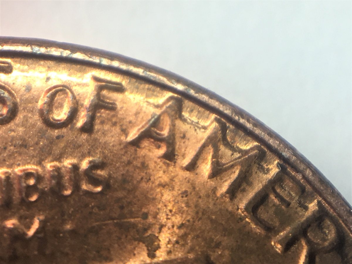 8-ccfopt.jpg