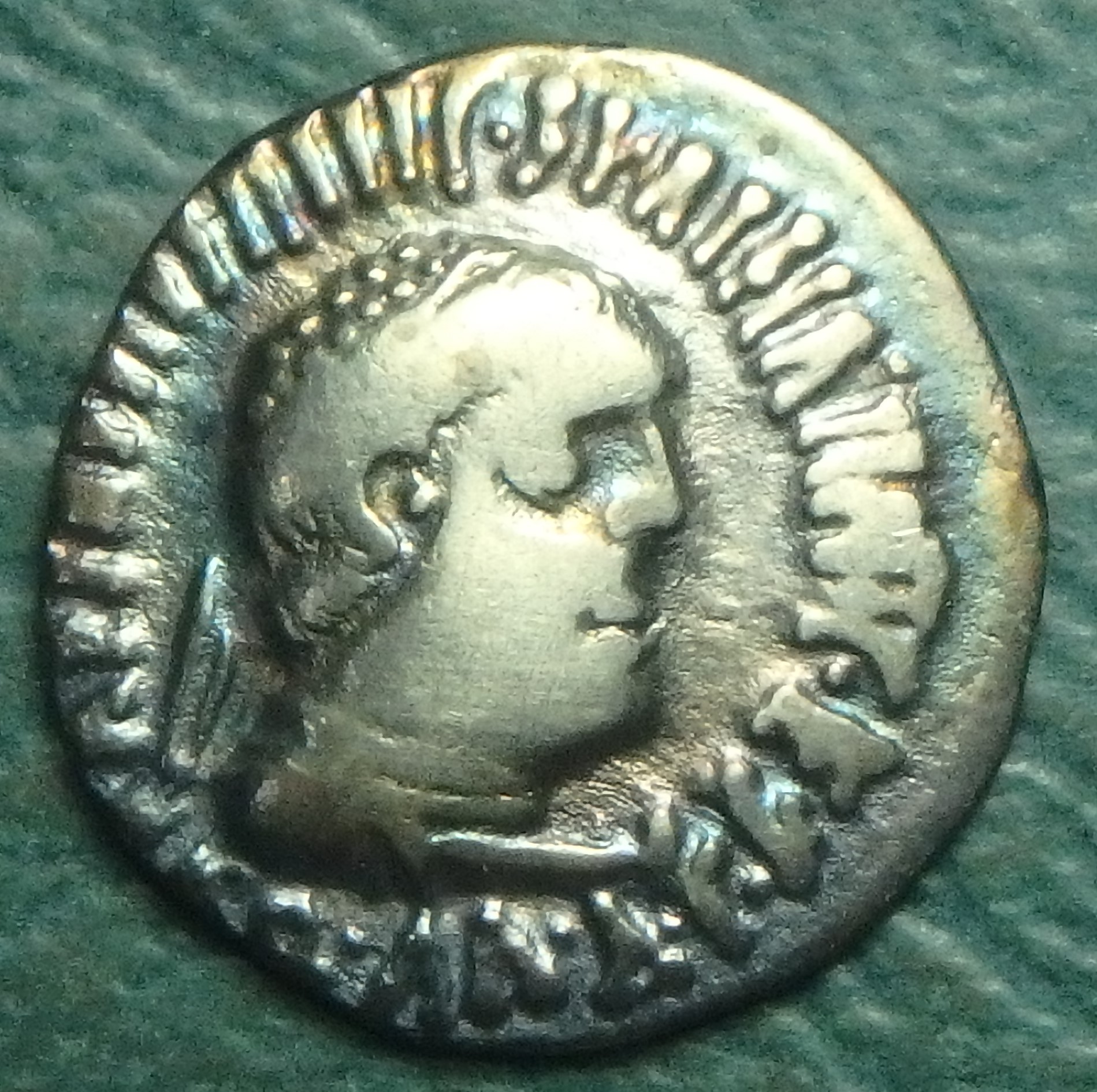 80-60 BC Indo Greek obv (2).JPG