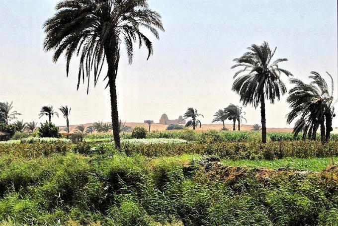 800px-Faiyum_Oasis_by_Zorbey_Tunçer_1.jpg