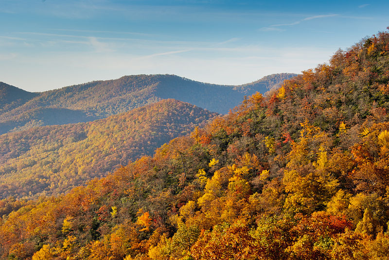 800px-Fall_colors_from_the_Blue_Ridge_Parkway_just_south_of_Ashville.jpg