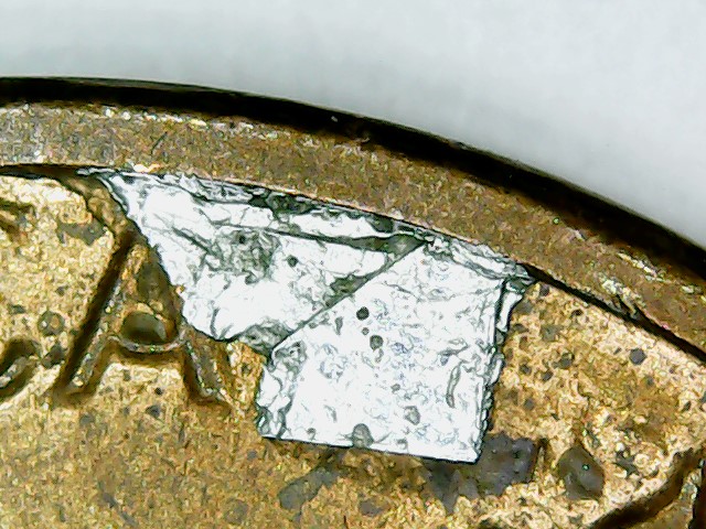 803413.jpg