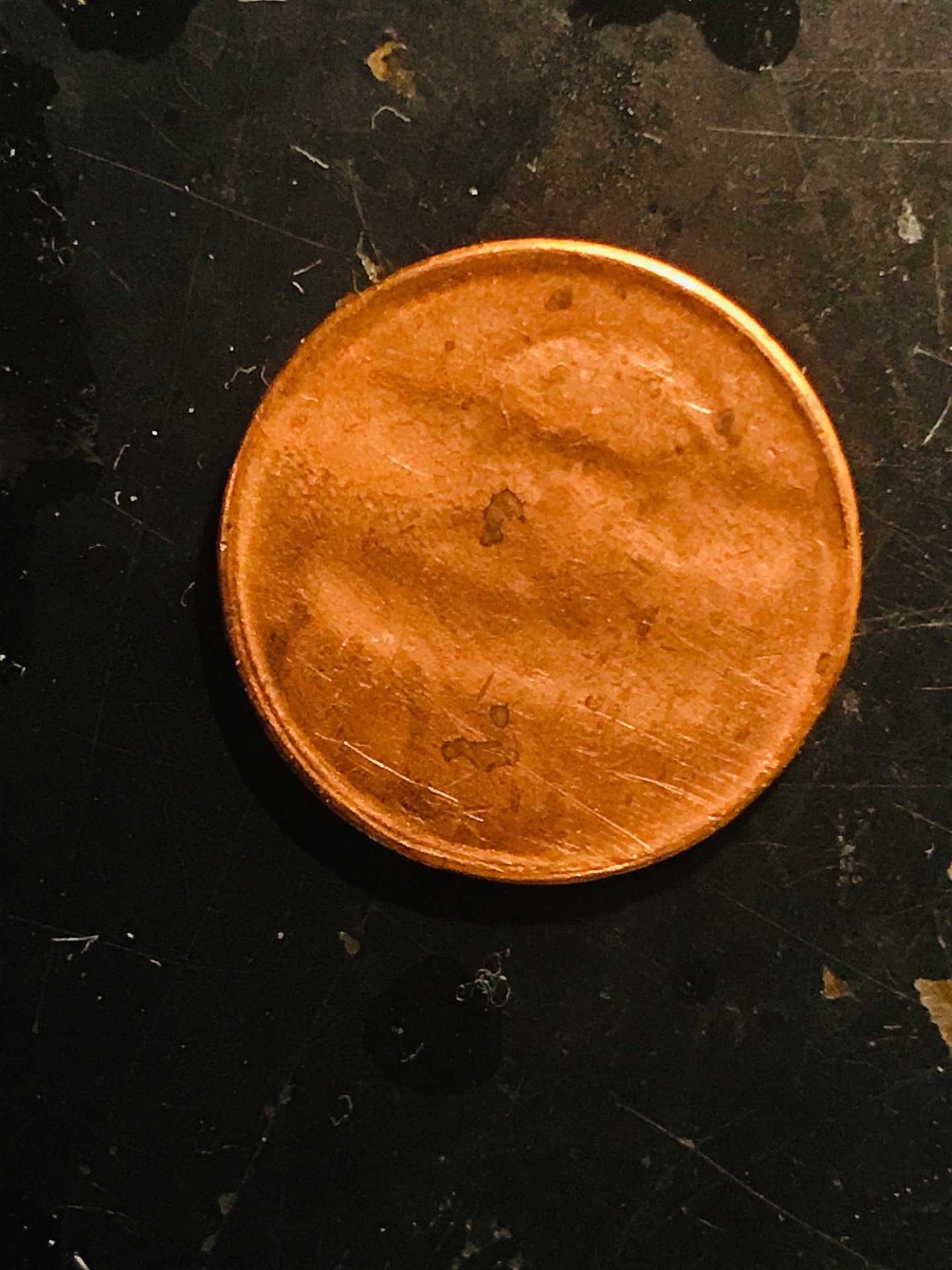 80635470_2475190439410384_1093086425420660736_n.jpg