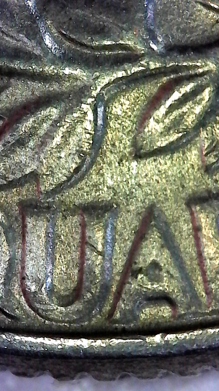 81.jpg