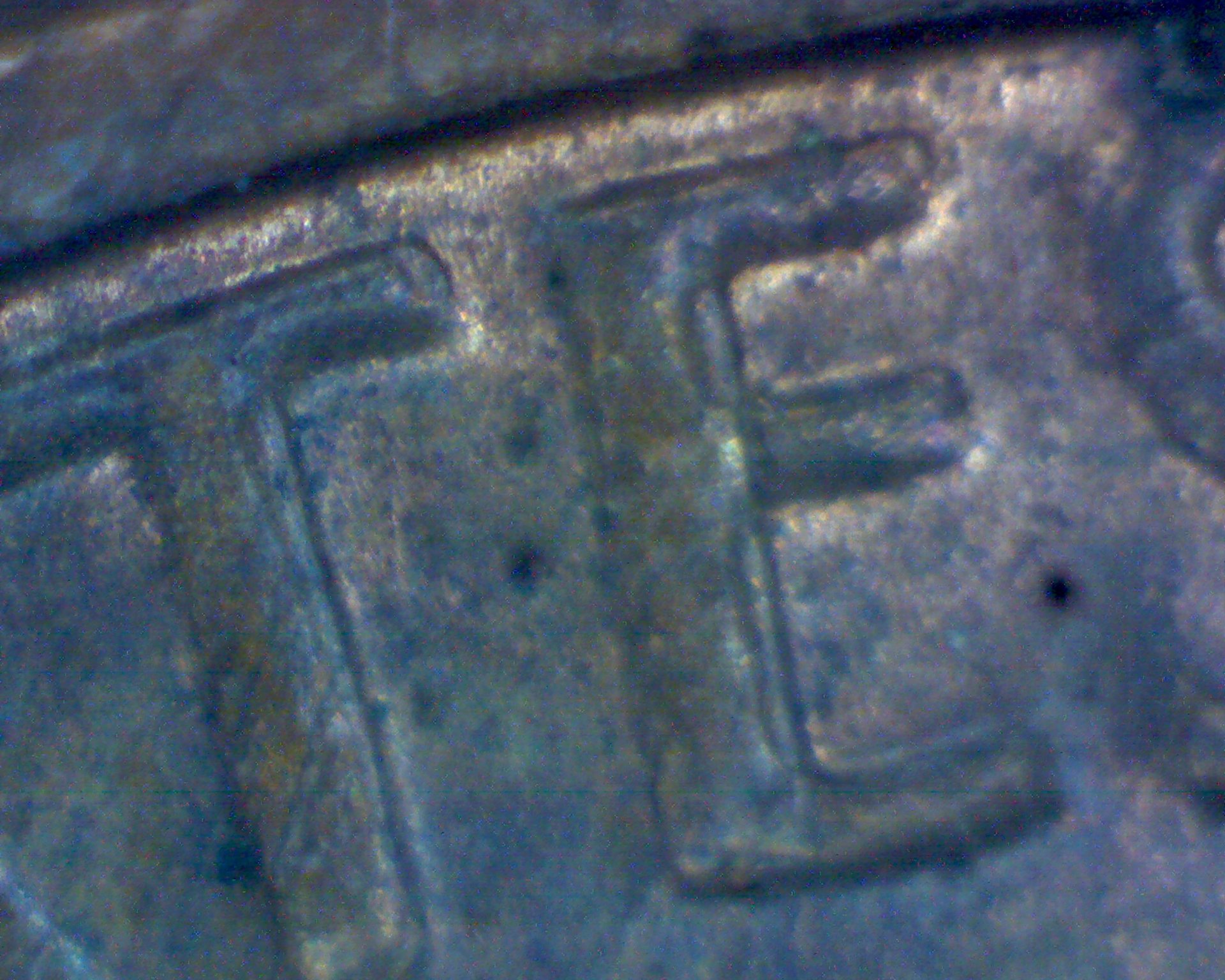 81-te.jpg