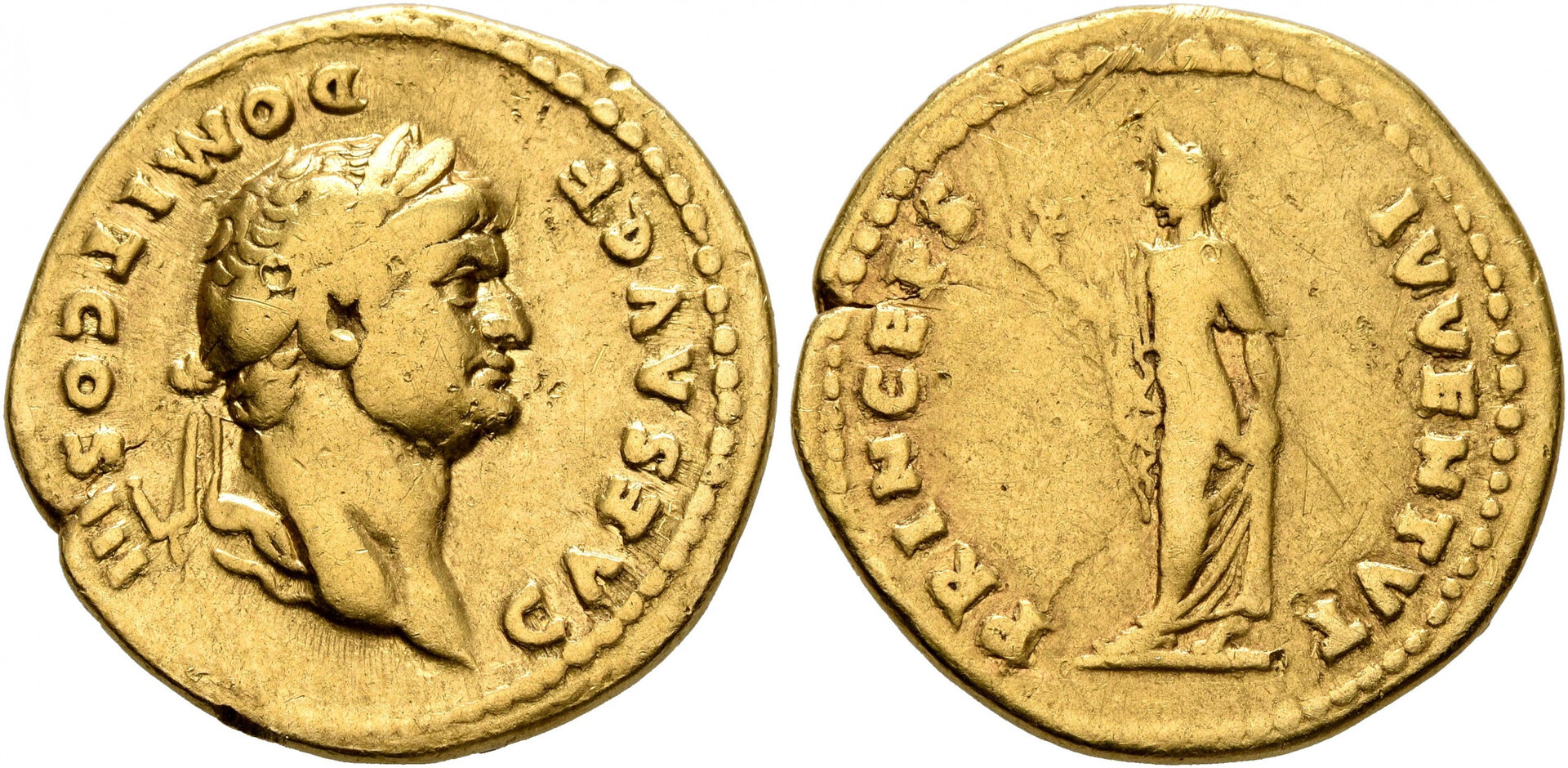8103317.jpg