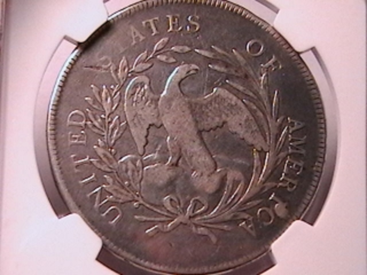 81a.jpg