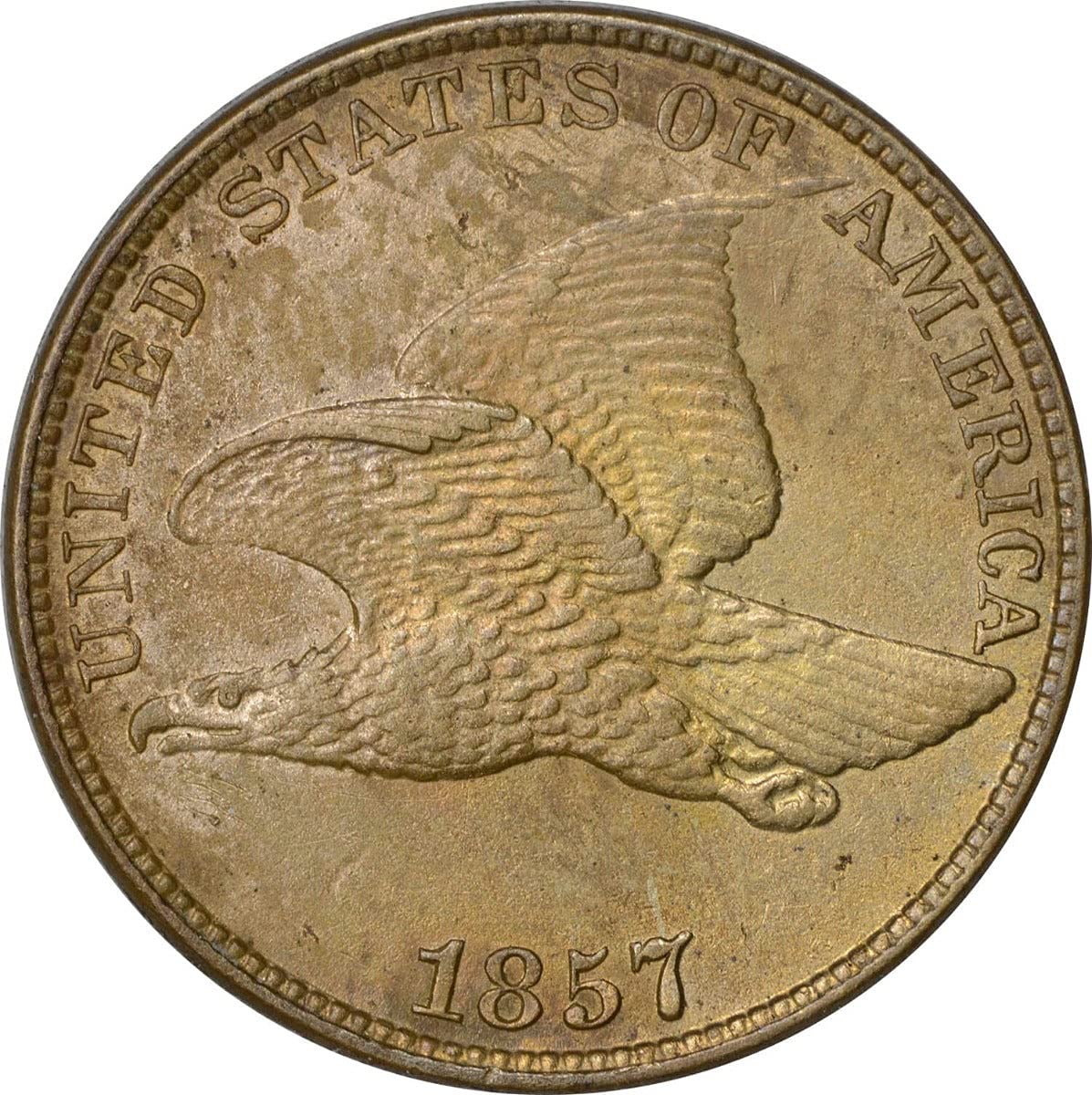 81uQ9qSpFDL._SL1200_.jpg