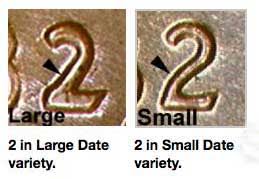 82 small:large dae.jpg