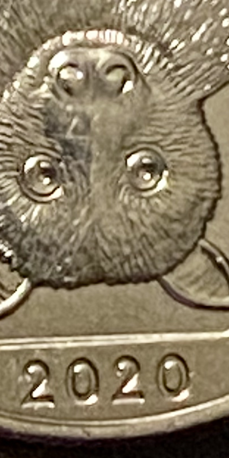 8233668C-2BDB-470F-BA73-509ED69D8A2F.jpeg