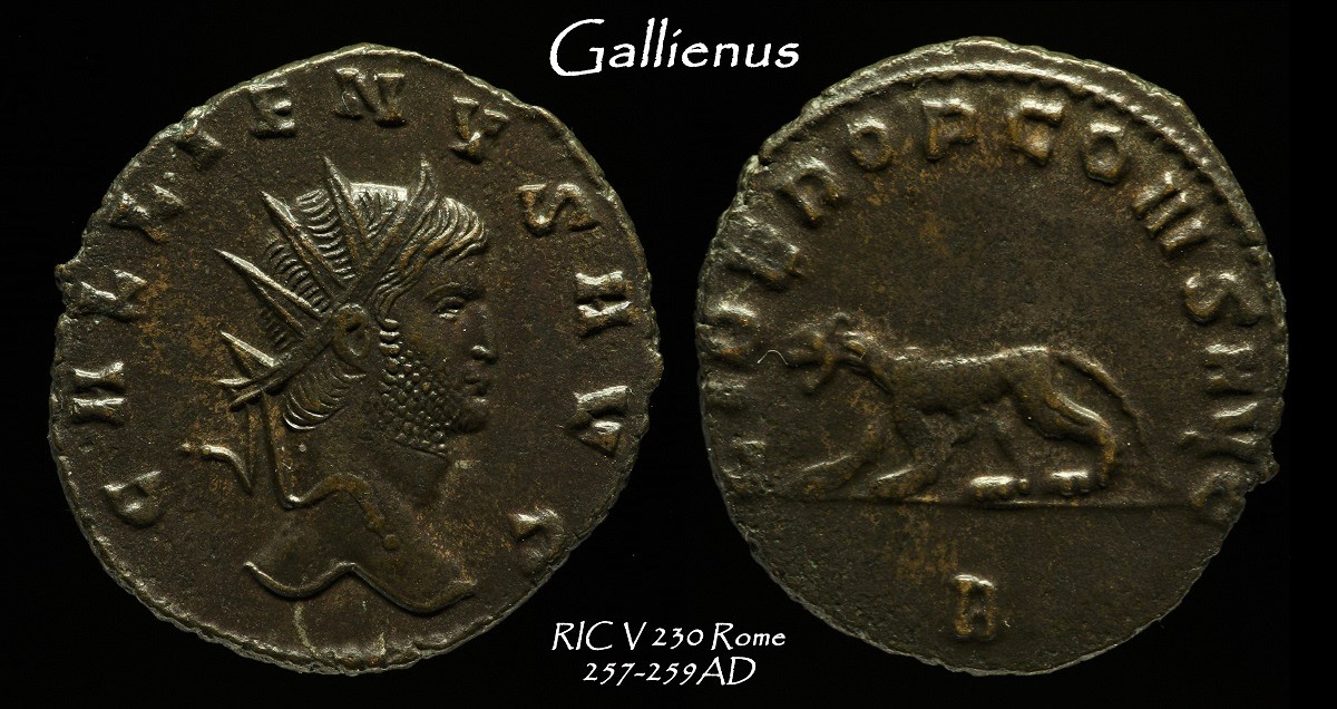 82d.jpg