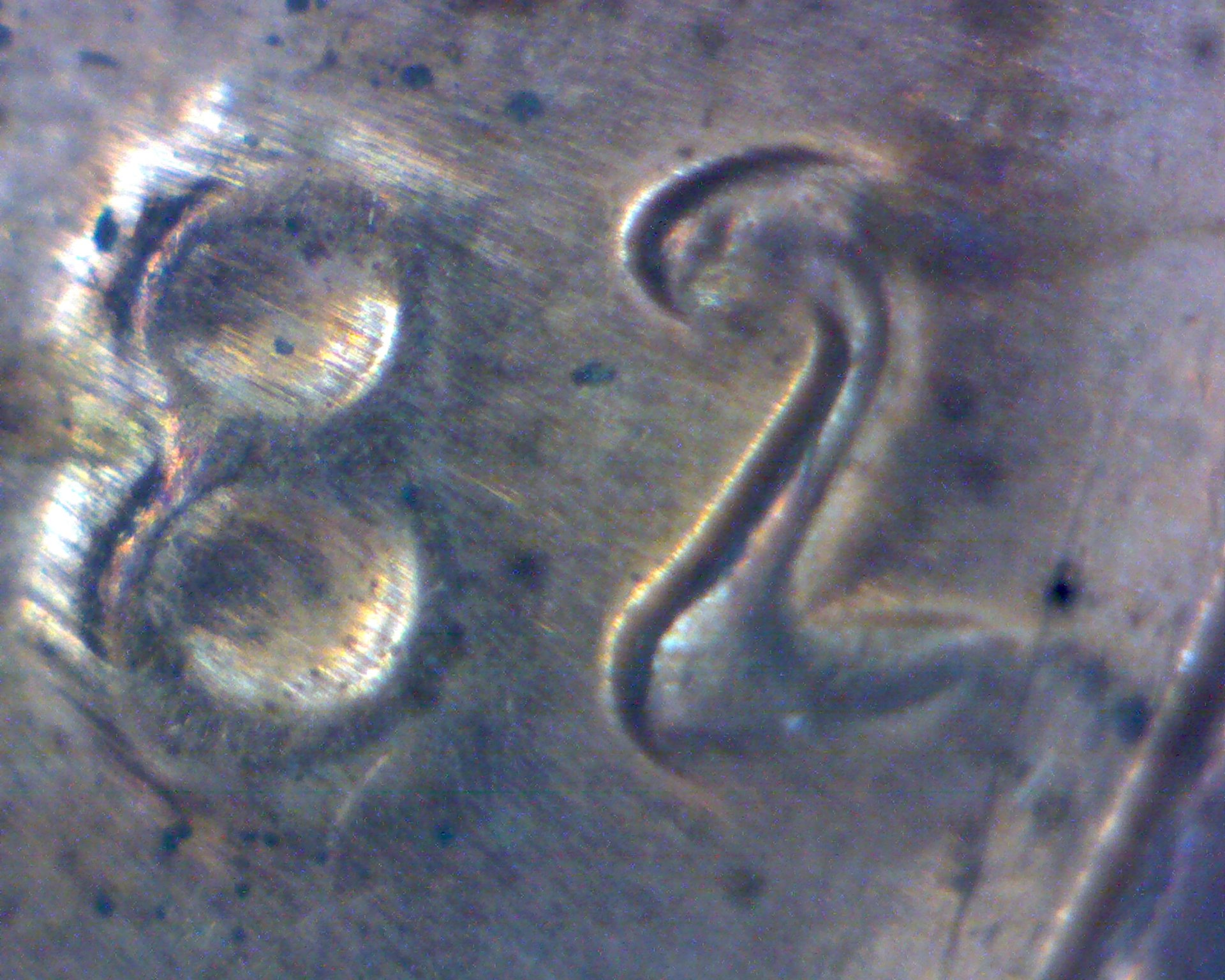 82of82p.jpg