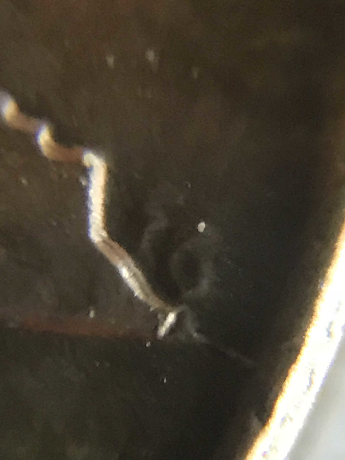 82z5.jpg