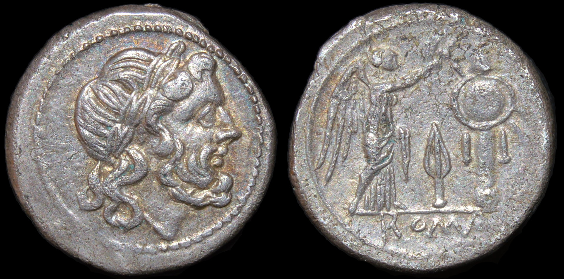831aSpearheadVictoriatus.JPG