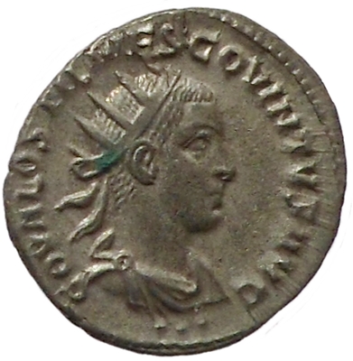 833a.JPG