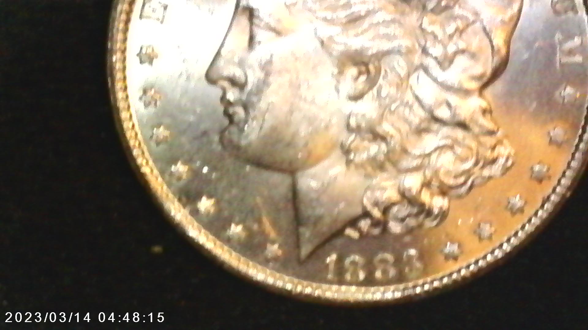 83cc obv2.JPG