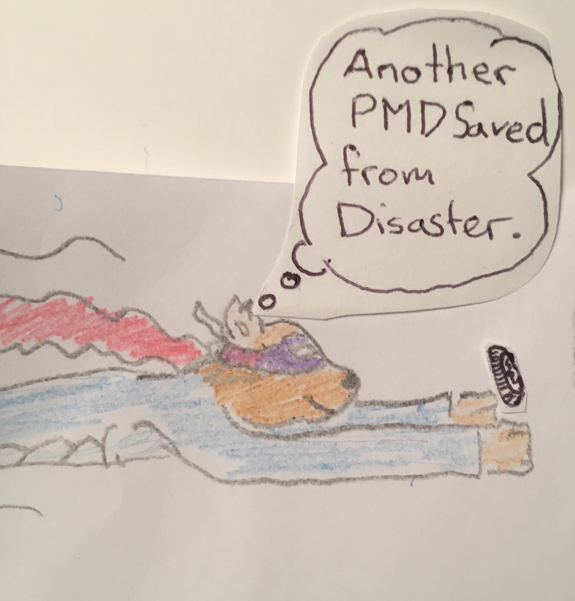 83CD088F-BFCB-481D-8A2E-D97E99232B8B.jpeg
