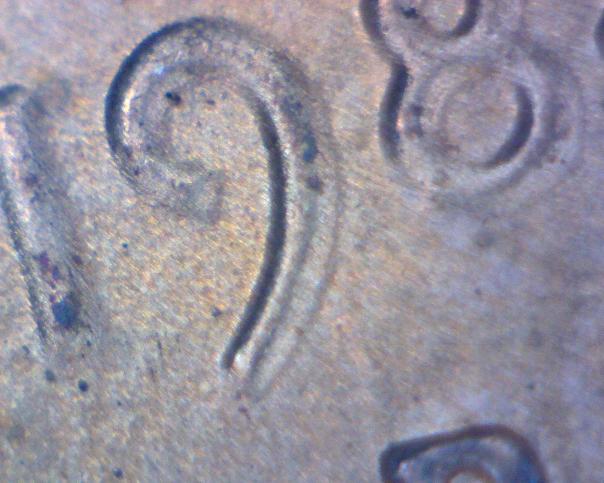 84-19ofdate.jpg