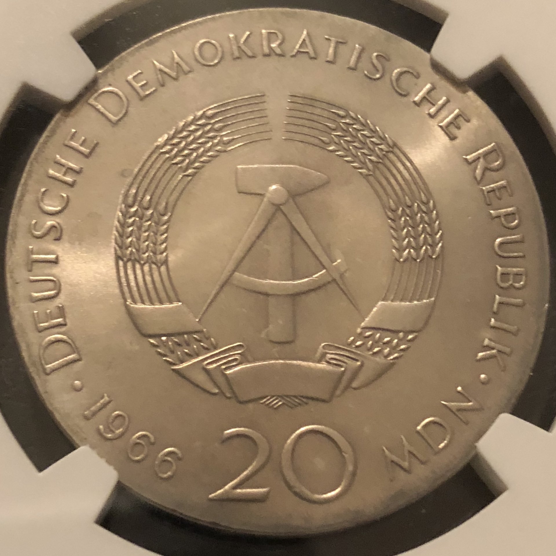 84127449-86AF-4099-ADBA-B096AECB871B.jpeg
