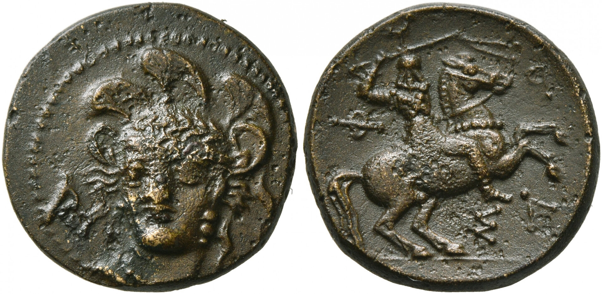 8416571.jpg