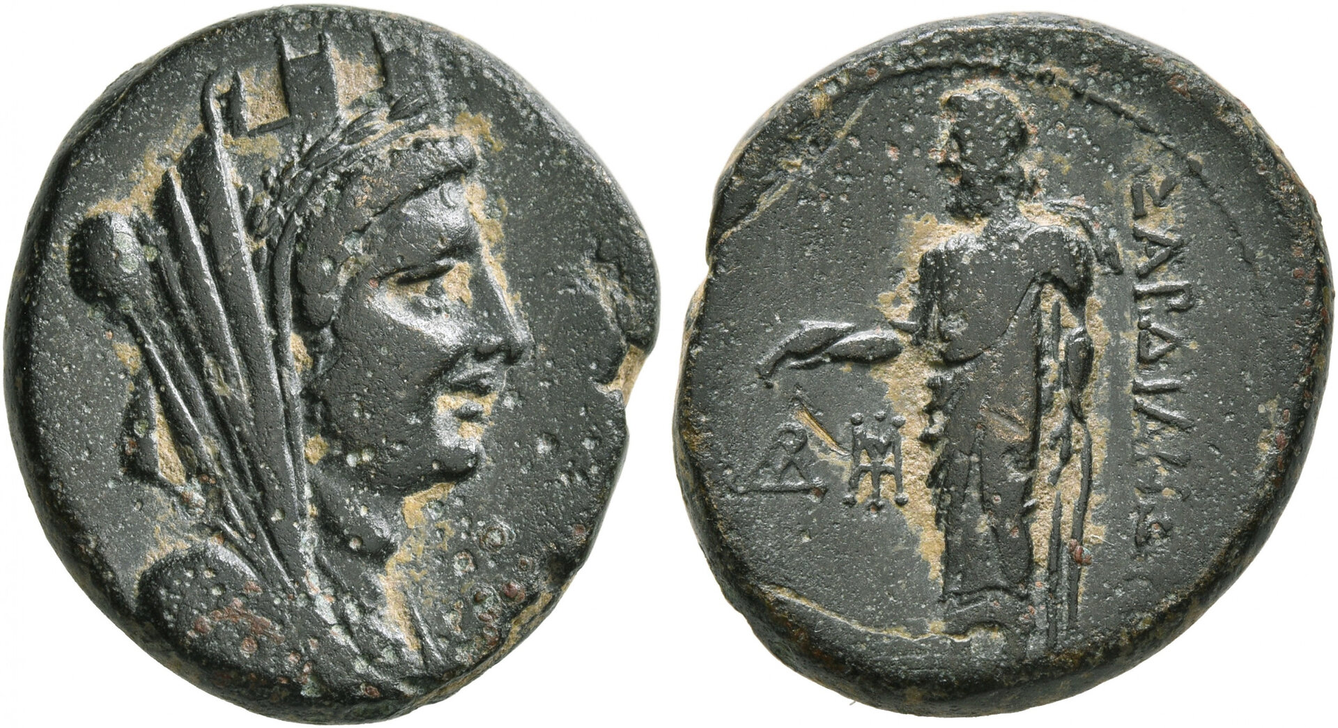 8417057.jpg
